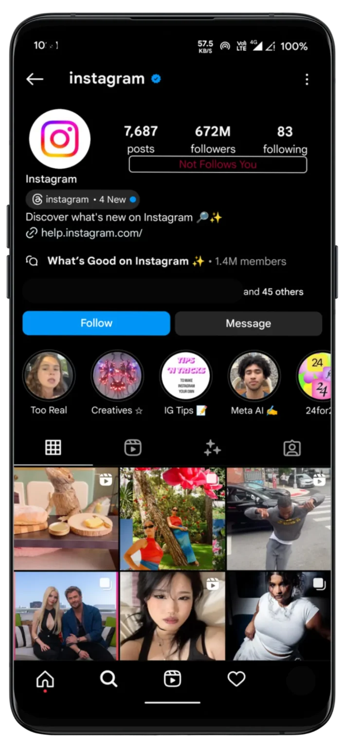 Download Instagram Media with InstaPro